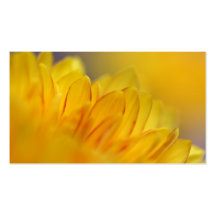 yellow Flower Visitenkarte