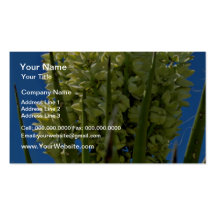 Yellow Flowering Succulent flowers Business Card Templates