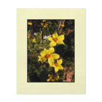 Yellow Flowers. Bidens. On Cream. Custom Flyer