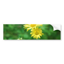 Yellow Flowers Bumper Sticker