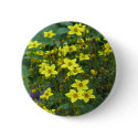 yellow flowers buttons