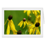 Yellow Flowers cards