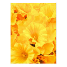 Yellow Flowers Custom Postcard
