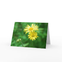 Yellow Flowers Greeting Card