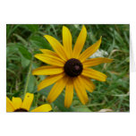 Yellow flowers greeting cards