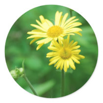 Yellow Flowers Stickers