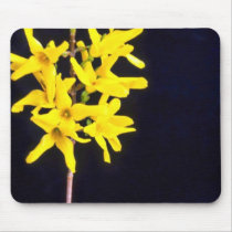 Yellow Forsythia Twig flowers mousepads