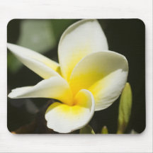 Yellow Frangipani flower Mousepad