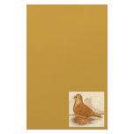 Yellow Frillback Pigeon stationery