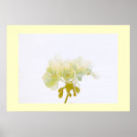 Yellow Geranium Print