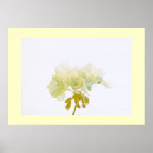 Yellow Geranium Print