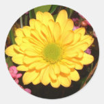 Yellow Gerber Daisy Stickers