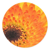 Yellow Gerber Stickers