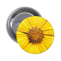 Yellow Gerbera Daisy Background.jpg Buttons