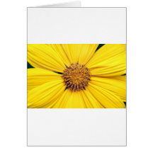 Yellow Gerbera Daisy Background.jpg Cards