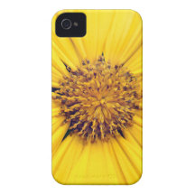 Yellow Gerbera Daisy Background.jpg Case-Mate iPhone 4 Case