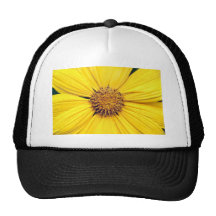 Yellow Gerbera Daisy Background.jpg Hats