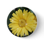 yellow gerbera daisy flower with stars button