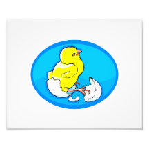 yellow hatching chicks blue oval.png photo print