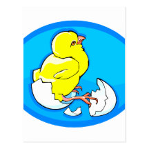 yellow hatching chicks blue oval.png postcard