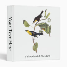 Yellow-headed Blackbird - John Audubon Binder