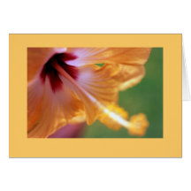 "Yellow Hibiscus" Cards
