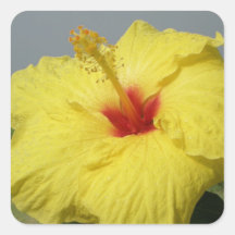 Yellow Hibiscus Flower Address LAbel Sticker