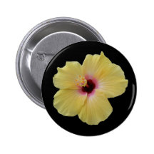 Yellow Hibiscus Flower Buttons