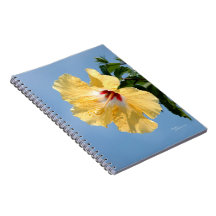 Yellow Hibiscus Flower Dewdrops Notebook