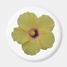 Yellow Hibiscus Flower Magnet