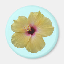 Yellow Hibiscus Flower Magnets