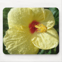 Yellow Hibiscus Flower Mouse Mats