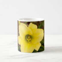 Yellow Hibiscus Flower Mugs