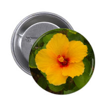 Yellow Hibiscus Flower Pinback Button