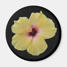 Yellow Hibiscus Flower Refrigerator Magnet