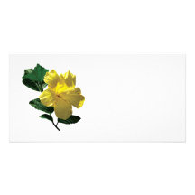 Yellow Hibiscus in Sunshine Custom Photo Card