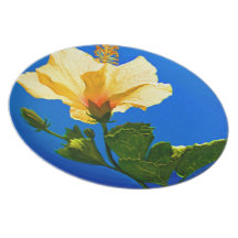 Yellow Hibiscus Party Plates