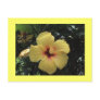Yellow Hibiscus Postcard