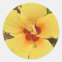 Yellow hibiscus sticker