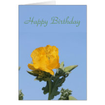 Yellow horned-poppy card
