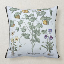 Yellow Horned Poppy, from the 'Hortus Eystettensis Throw Pillow