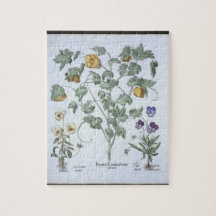 Yellow Horned Poppy, from the 'Hortus Eystettensis Jigsaw Puzzle