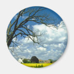 yellow Humberside, oil-seed rape field in flower, Fridge Magnets