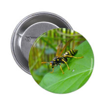 Yellow Jacket Badge Pin