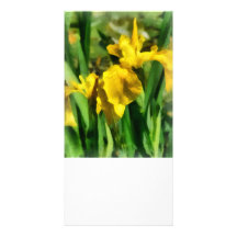 Yellow Japanese Irises Custom Photo Card