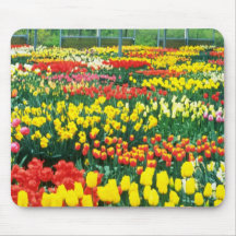 yellow Keukenhof Greenhouses flowers Mousepads