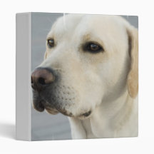 Yellow Lab Binder