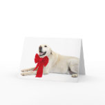 Yellow lab Christmas Card