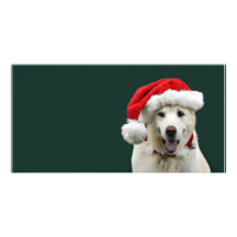 Yellow Lab Christmas Picture Card