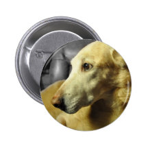 Yellow Lab on Black and White Buttons